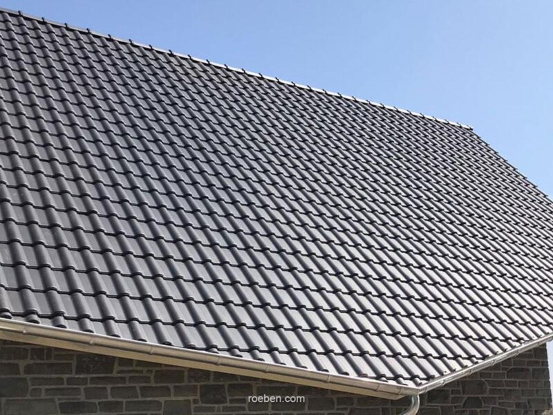 BARI anthraziz C Manuel Lennartz 1