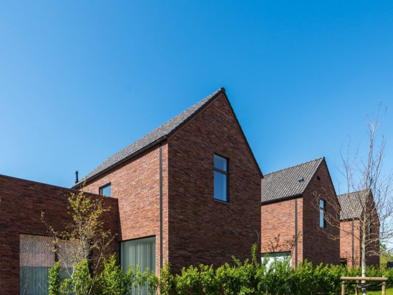 WB 2020 H Sint Truiden2 004