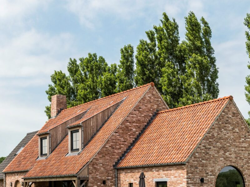 WB 2021 F Lissewege 002