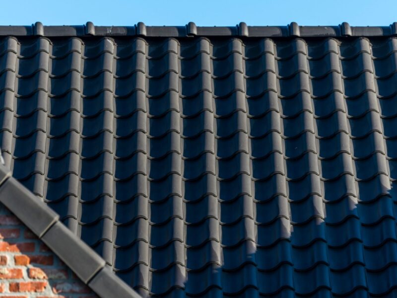 WB 2021 G Grembergen2 011