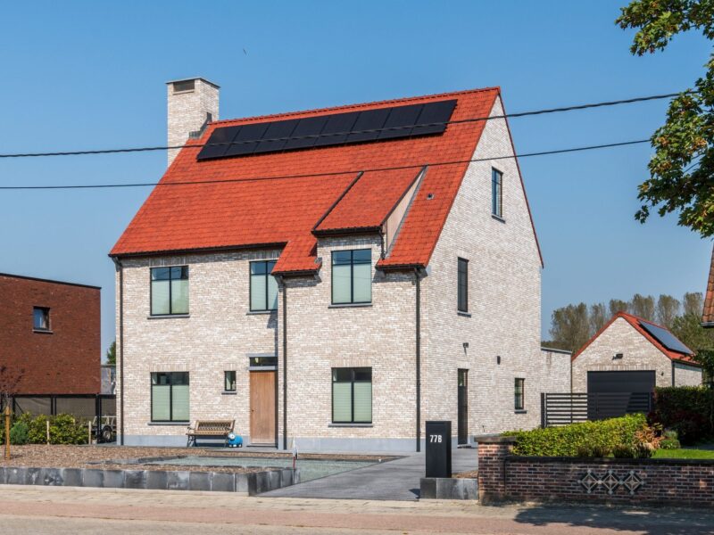 WB 2024 F Lippelo 06