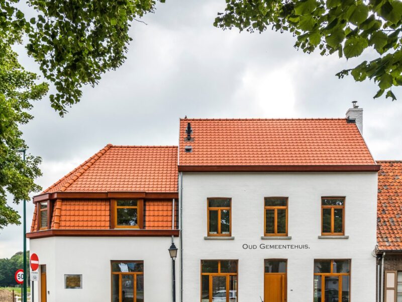 WV 2020 T Ronsele 003