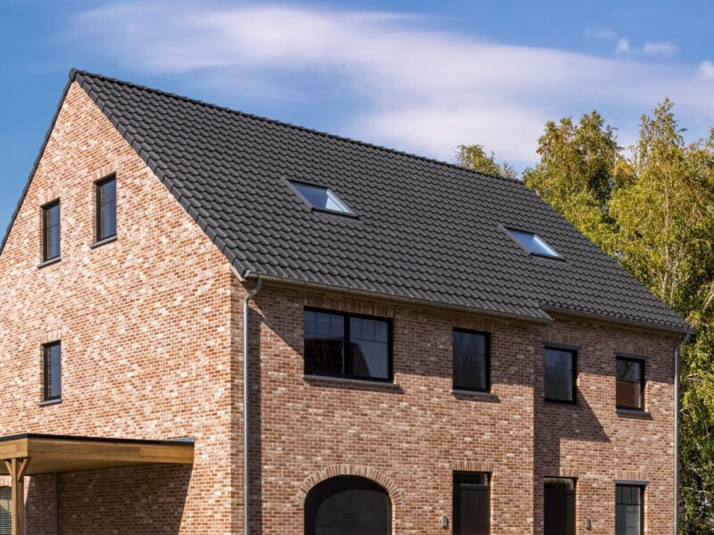 WB 2020 C Pittem 010 BOLD